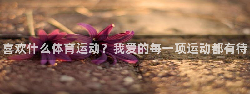 MK体育官网下载娱乐：喜欢什么体育运动？我爱的每一项