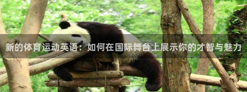 MK体育官网下载招商电话地址查询：新的体育运动英语：