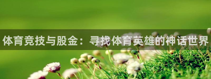MK体育官网下载平台是正规平台吗知乎：体育竞技与股金