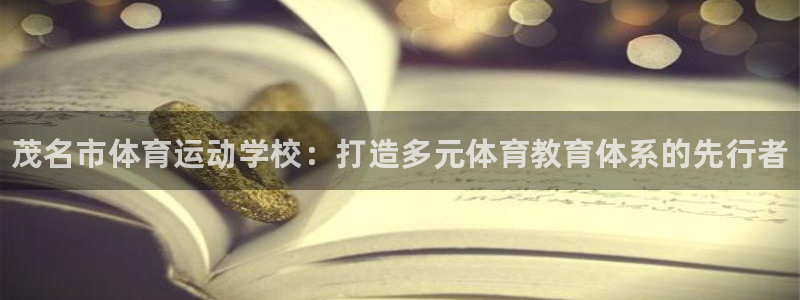MK体育官方正版app娱乐网站：茂名市体育运动学校：