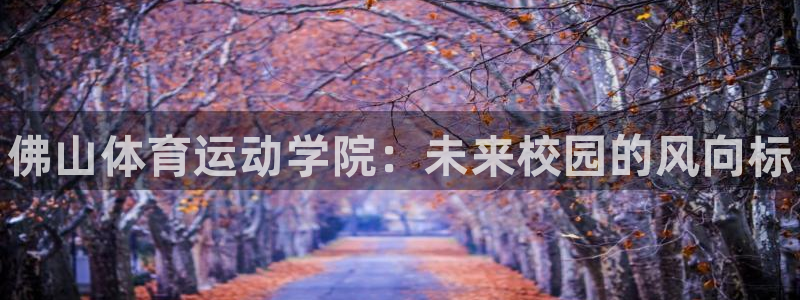 MK体育官网下载平台注册流程图：佛山体育运动学院：未