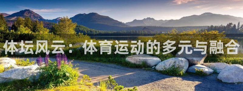 MK体育官网下载：体坛风云：体育运动的多元与融合