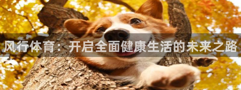 MK体育官网下载招商电话号码查询：风行体育：开启全面健康生活