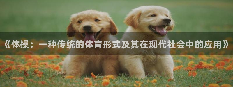 注册MK体育官方正版app：《体操：一种传统的体育形式及其在