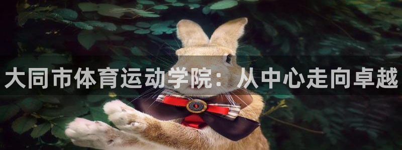 MK体育官方正版app娱乐首页网站大全：大同市体育运动学院：