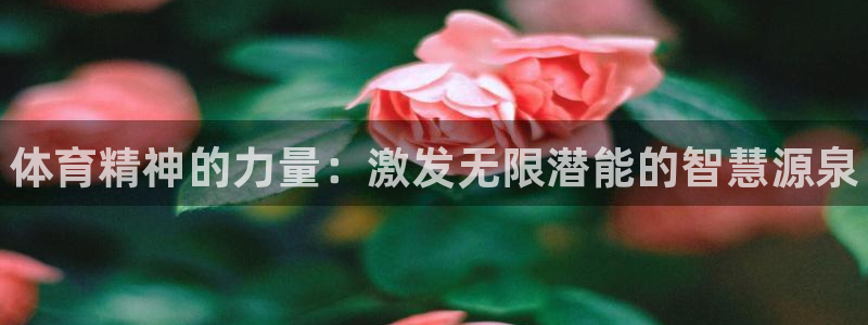 海南MK体育官网下载：体育精神的力量：激发无限潜能的智慧源泉