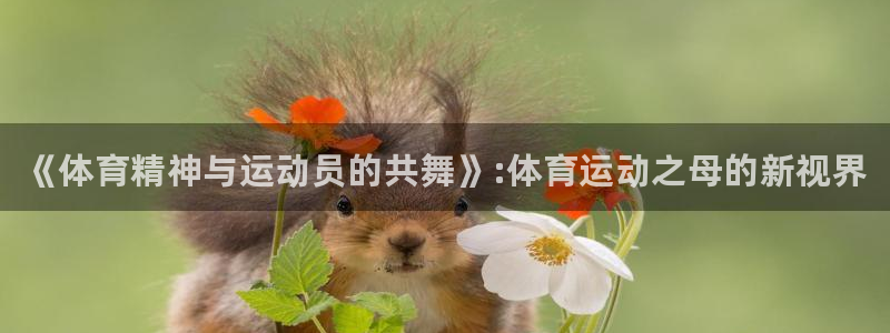 MK体育官网下载平台注册：《体育精神与运动员的共舞》