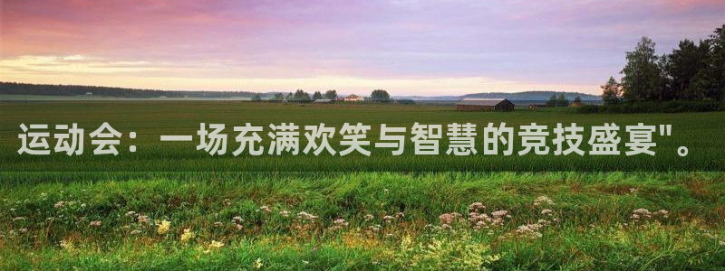 MK体育官网下载招商电话：运动会：一场充满欢笑与智慧