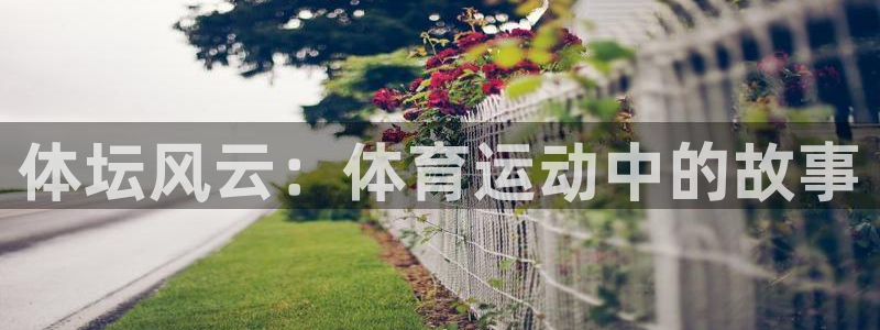MK体育官网下载招商电话号码是多少号：体坛风云：体育