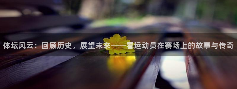 MK体育官方正版app神州：体坛风云：回顾历史，展望