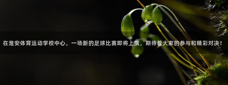 MK体育官网下载平台是正规平台吗：在淮安体育运动学校