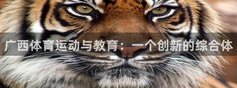 MK体育官方正版app集团：广西体育运动与教育：一个