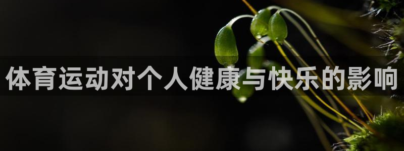 MK体育官网下载招商电话号码是多少