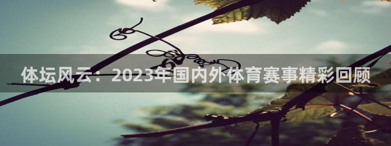 MK体育官方正版app新能源：体坛风云：2023年国