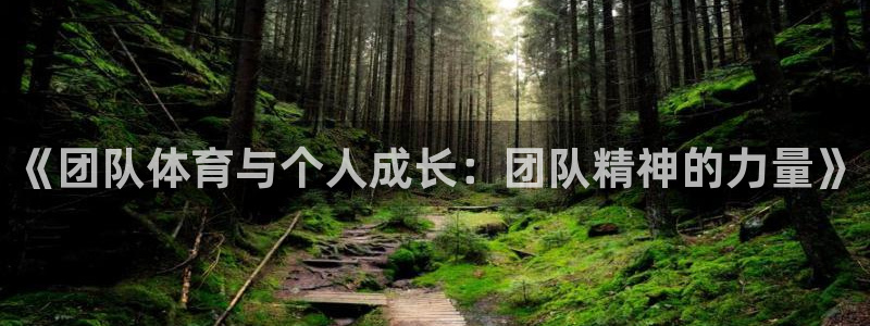 MK体育官方正版app娱乐网站：《团队体育与个人成长：团队精