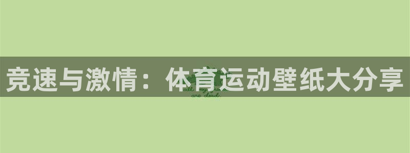 MK体育官网下载平台注册要钱吗安全吗：竞速与激情：体育运动壁