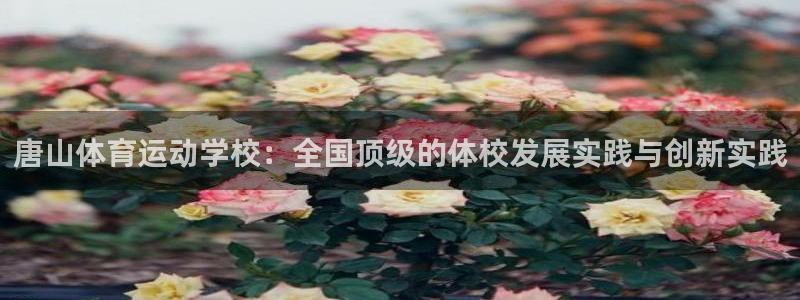 MK体育官网下载招商电话