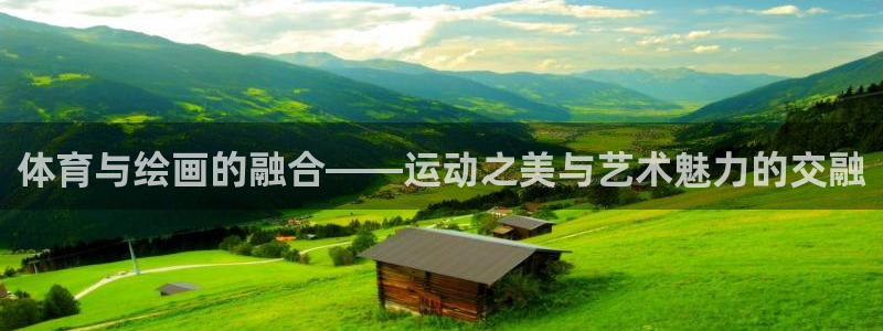 MK体育官方正版app开户