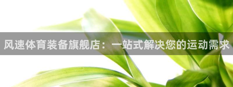 MK体育官方正版app娱乐下载