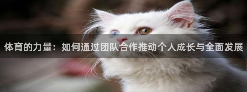MK体育官网下载招商电话地址是多少：体育的力量：如何通过团队