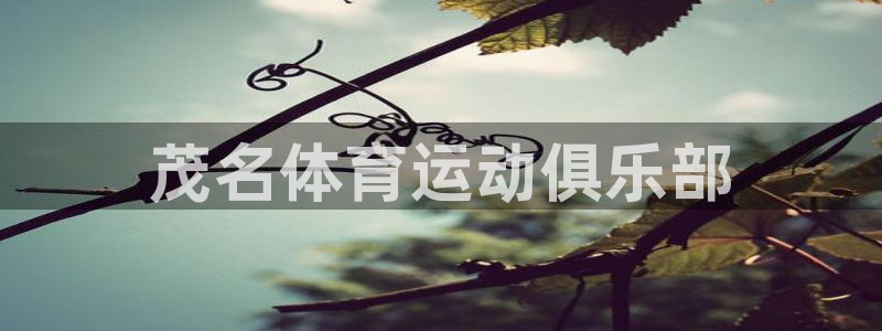 MK体育官网下载平台假的吗是真的吗