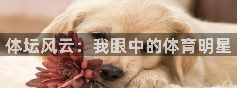 MK体育官方正版app集团官网首页网址：体坛风云：我眼中的体