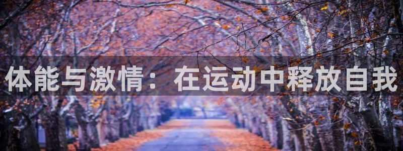 MK体育官网下载平台注册要钱吗是真的吗：体能与激情：在运动中