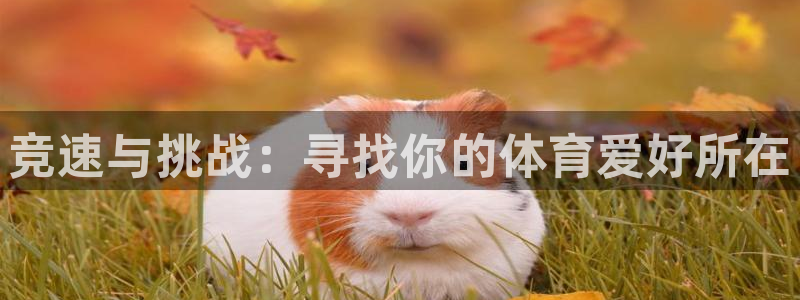 MK体育官方正版app娱乐首页官网下载：竞速与挑战：寻找你的