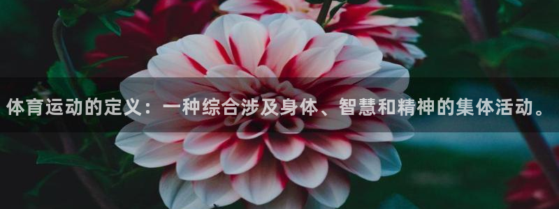 MK体育官方正版app娱乐首页官网下载：体育运动的定义：一种