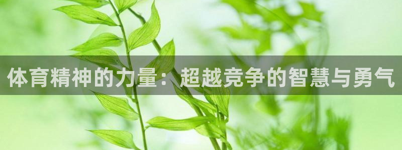 海南MK体育官网下载：体育精神的力量：超越竞争的智慧与勇气