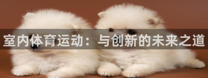 MK体育官方正版app神州