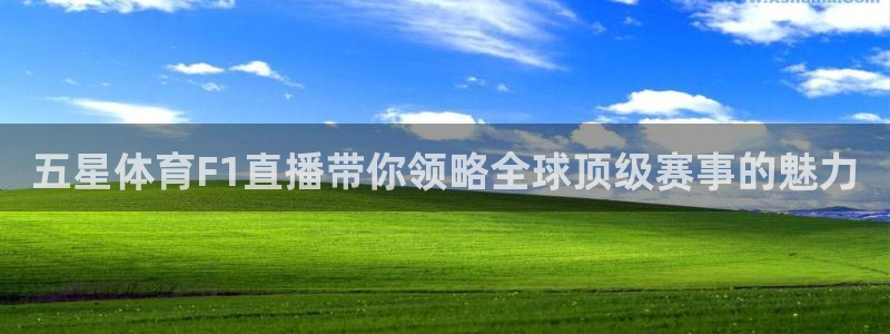 极速体育在线直播免费观看直播：五星体育F1直播带你领略全球顶级赛事的魅力