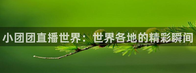 极速体育直播极速体育直播nba：小团团直播世界：世界各地的精彩瞬间