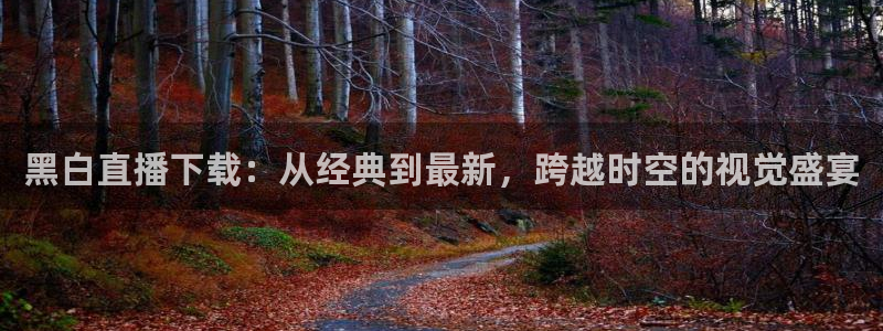 极速体育nba在线直播免费观看：黑白直播下载：从经典到最新，跨越时空的视觉盛宴
