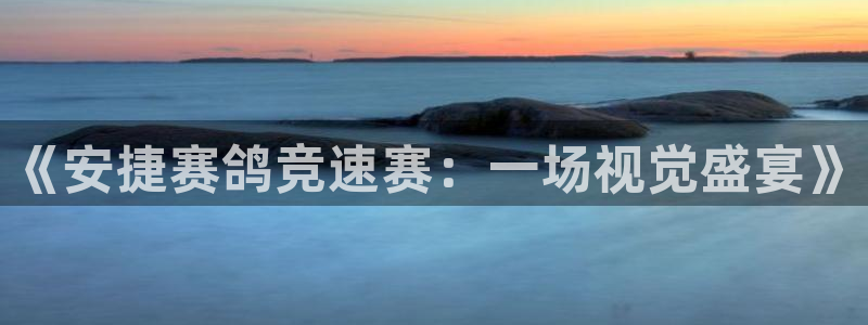 极速nba直播：《安捷赛鸽竞速赛：一场视觉盛宴》